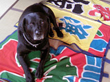 img20070619113832.jpg