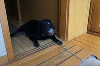 DSC00456.jpg