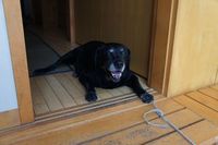 DSC00458.jpg