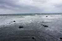 DSC00686.JPG