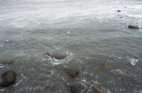 DSC00687.JPG