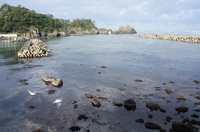DSC01718.JPG