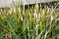 DSC01905.JPG