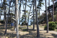 DSC02042.JPG
