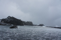 DSC04120.JPG