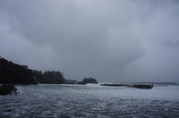 DSC04121.JPG