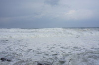 DSC04310.JPG
