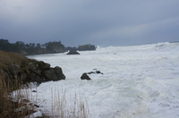 DSC04312.JPG