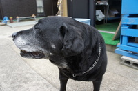 DSC04501.JPG