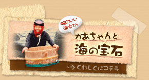 かあちゃんと海の宝石箱